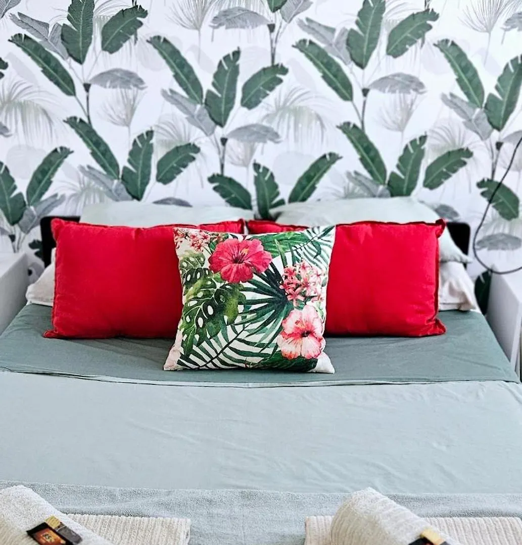 Modern Bohotropical Apartment With Terrace La Medida 0*,